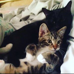 Meet your Posher, Jillian